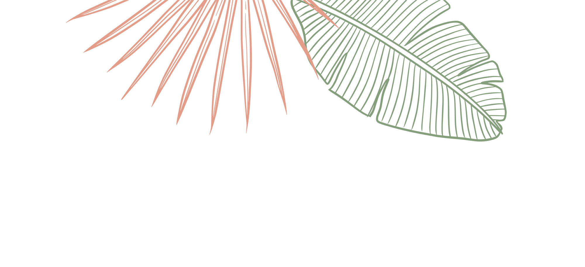 Illustration of a peach-colored palm frond and a green banana leaf on a green background.