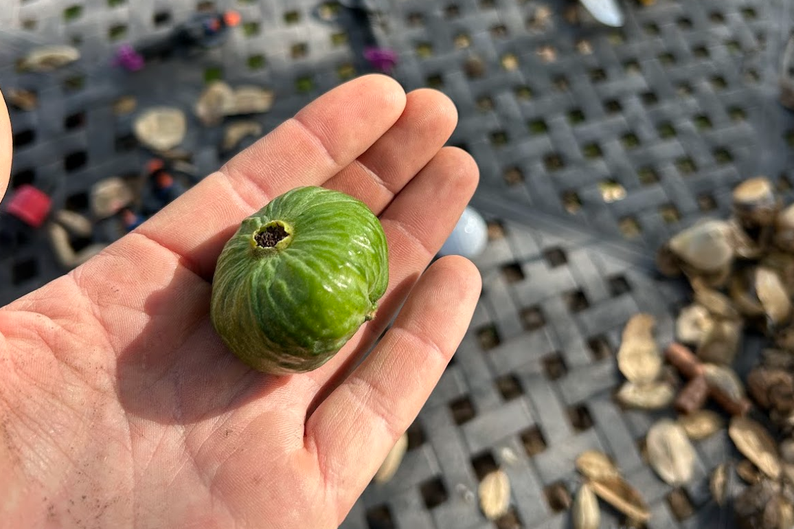 Screen Shot 2026-03-31 at 1.22.06 PM.png