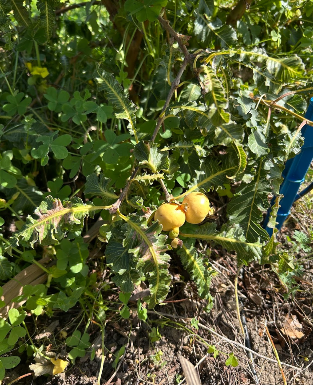 Screen Shot 2026-04-13 at 2.48.54 PM.png