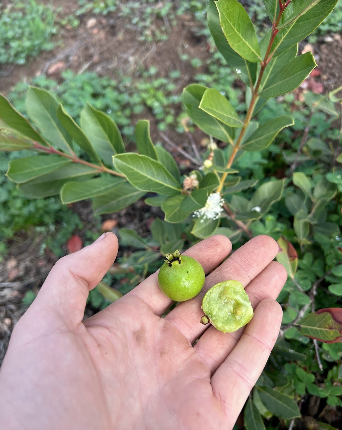 Screen Shot 2026-03-31 at 5.03.21 PM.png