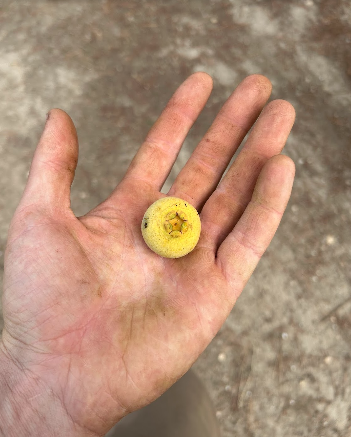 Screen Shot 2026-04-13 at 3.47.42 PM.png