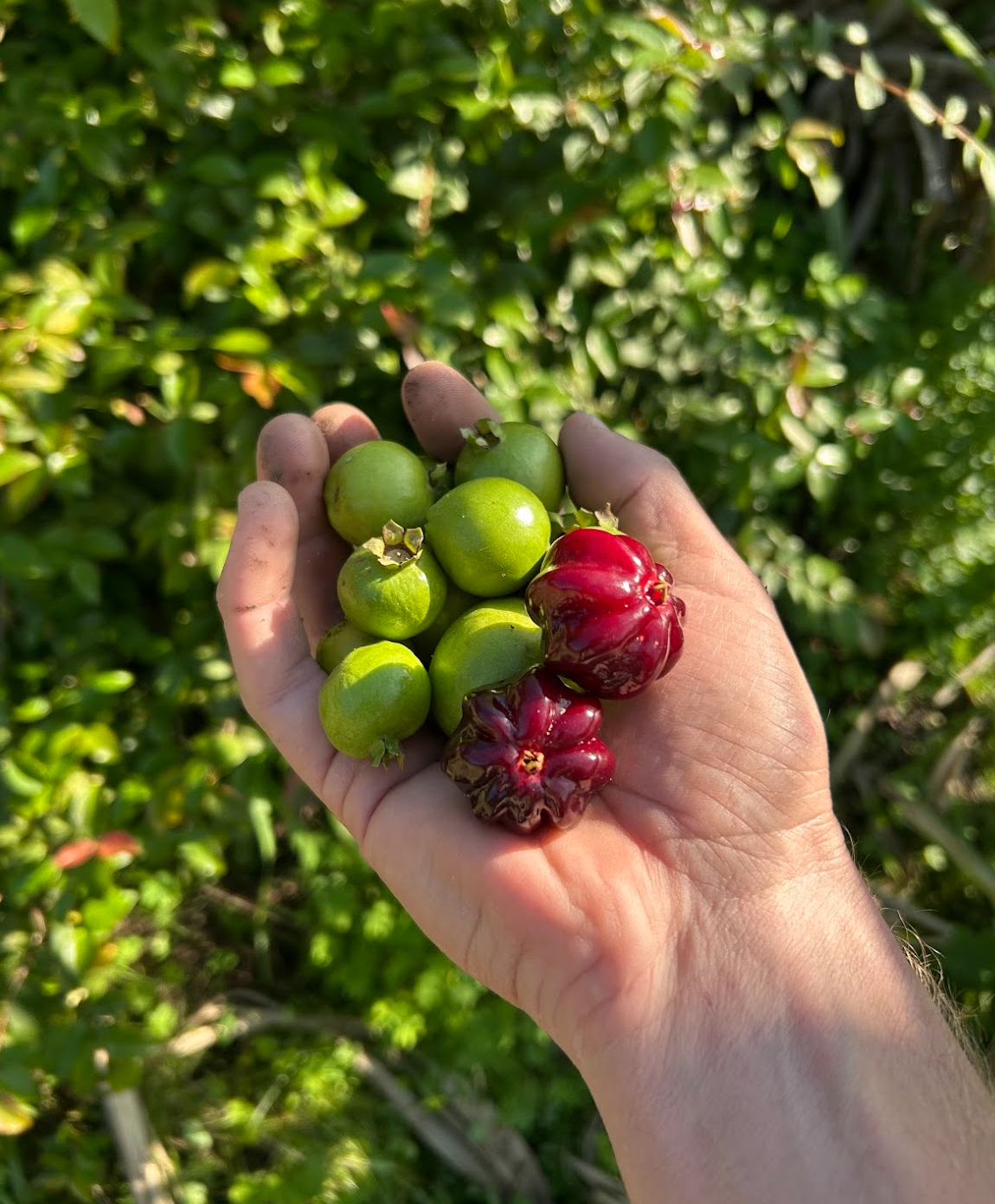 Screen Shot 2026-03-31 at 4.57.41 PM.png