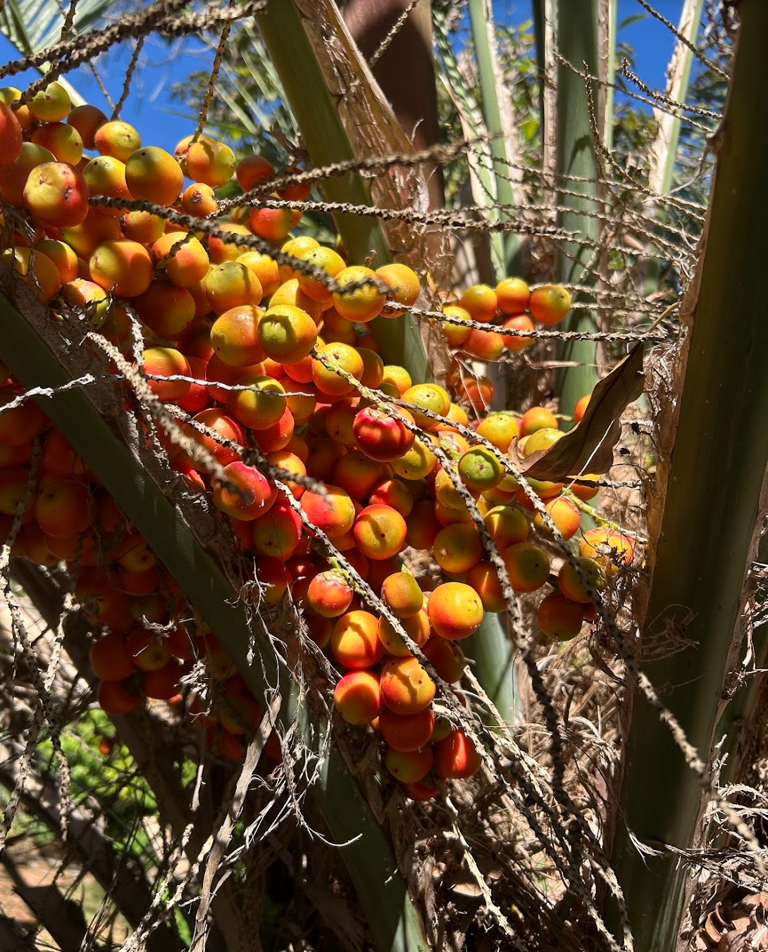 Screen Shot 2026-02-12 at 2.39.07 PM.png