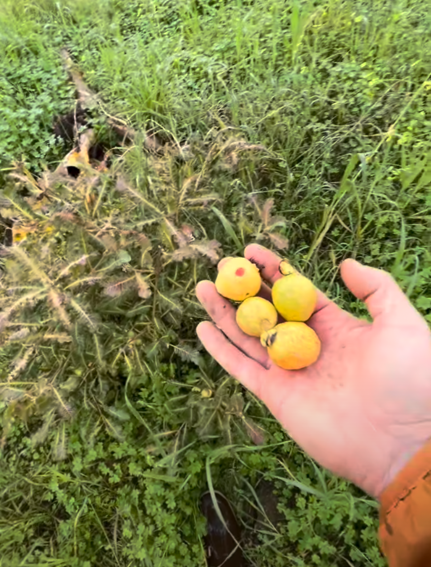 Screen Shot 2026-04-13 at 2.50.48 PM.png