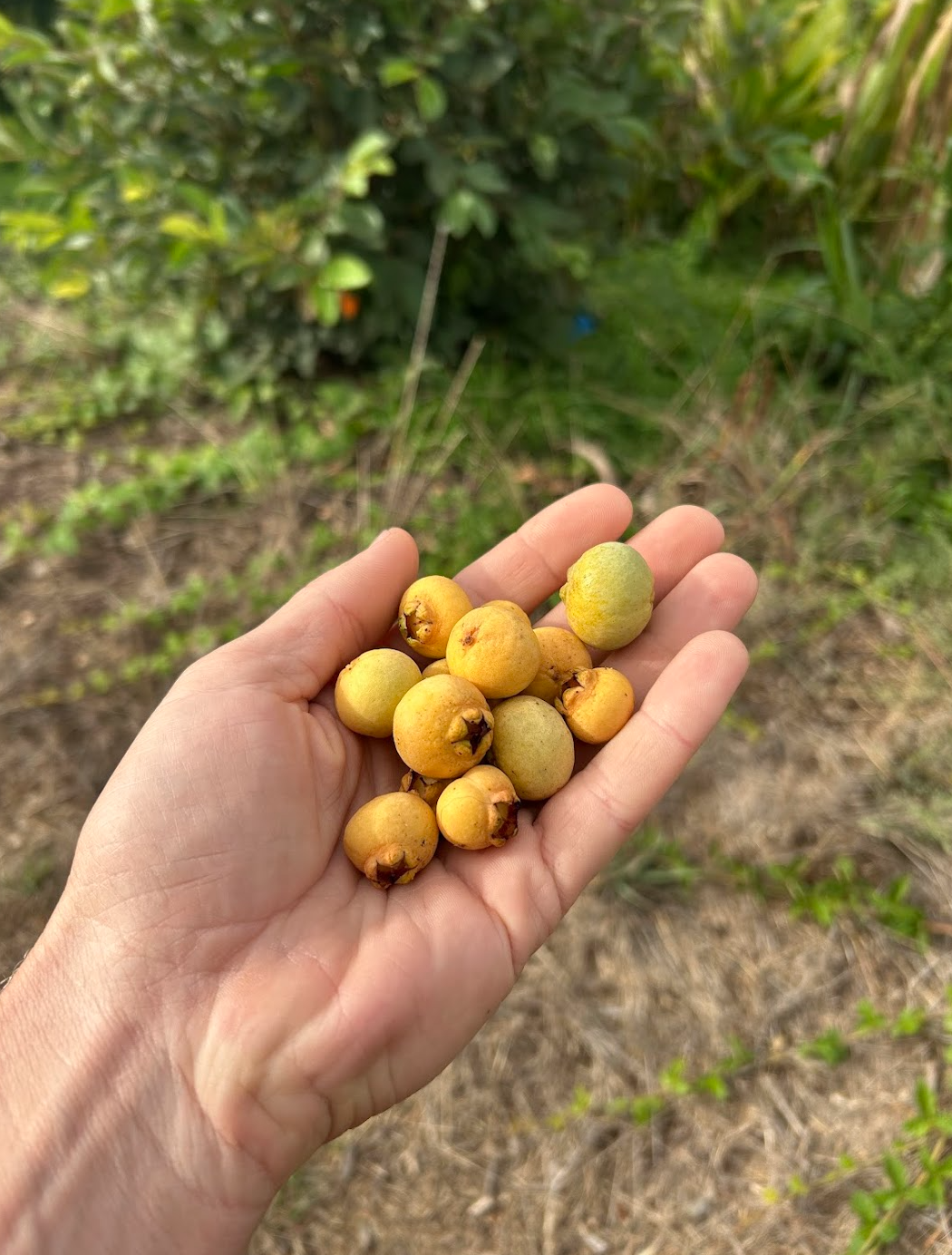 Screen Shot 2026-02-12 at 2.42.45 PM.png