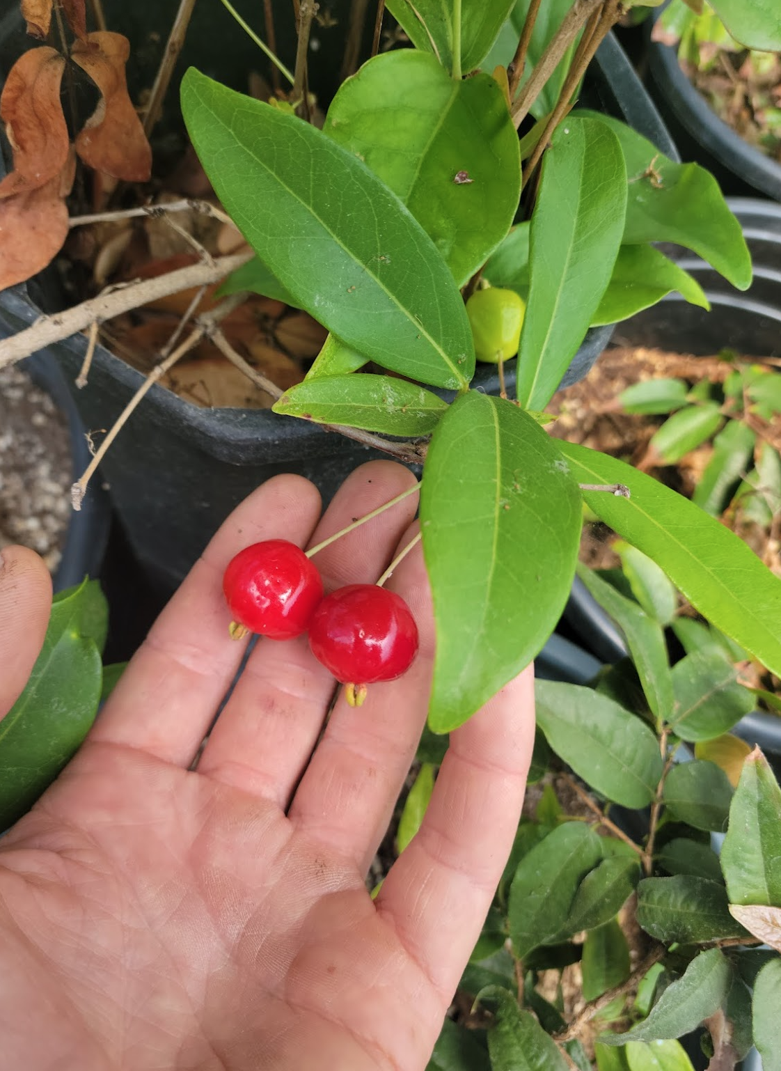 Screen Shot 2024-01-13 at 6.18.07 PM.png