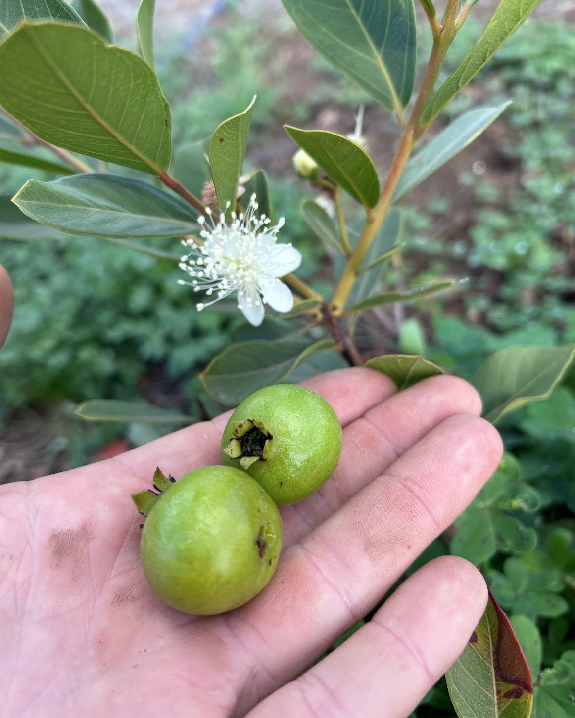 Screen Shot 2026-03-31 at 4.56.32 PM.png