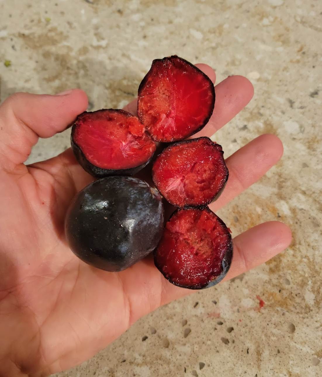 Ooray, Davidson Plum