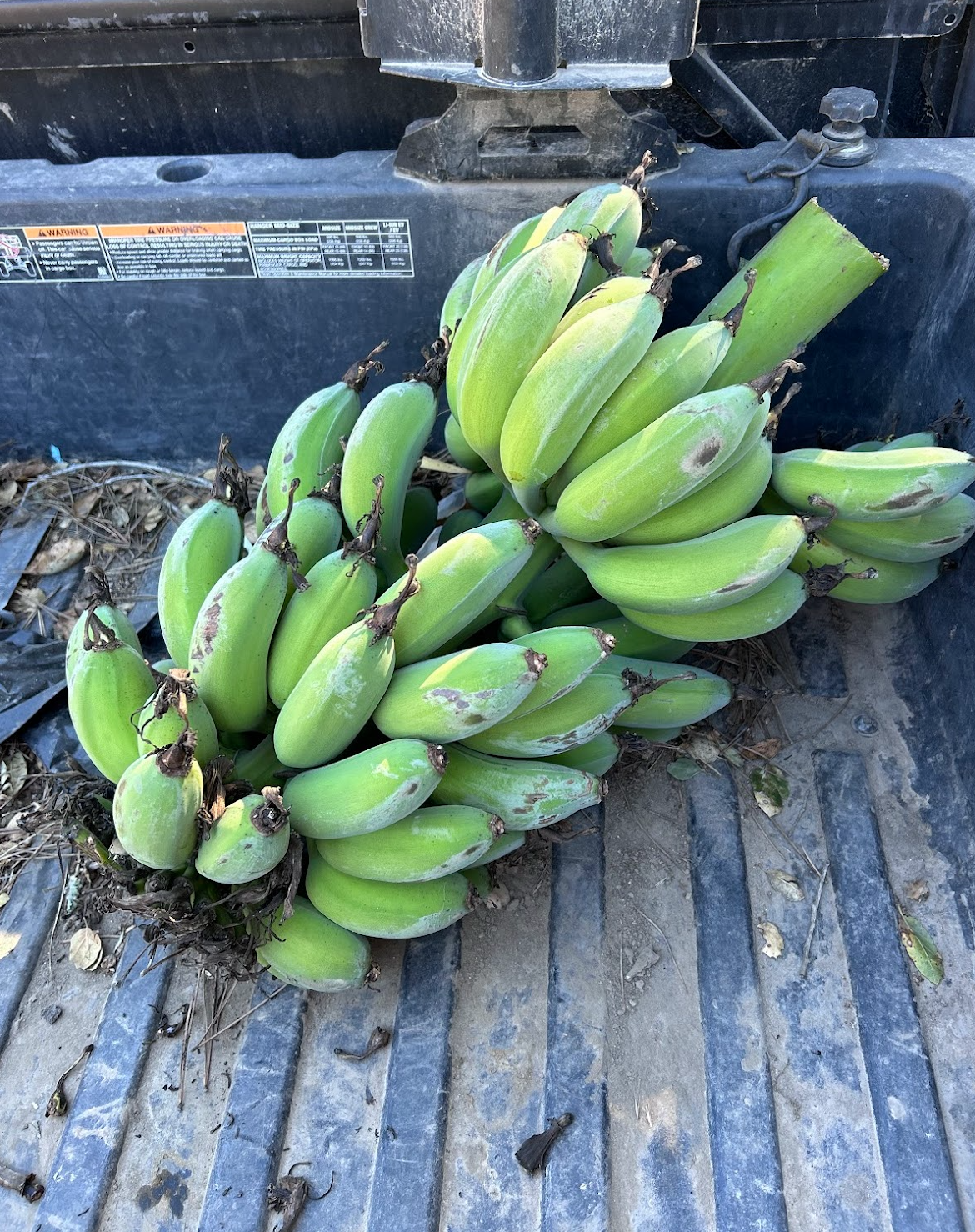 Screen Shot 2026-04-13 at 4.29.04 PM.png