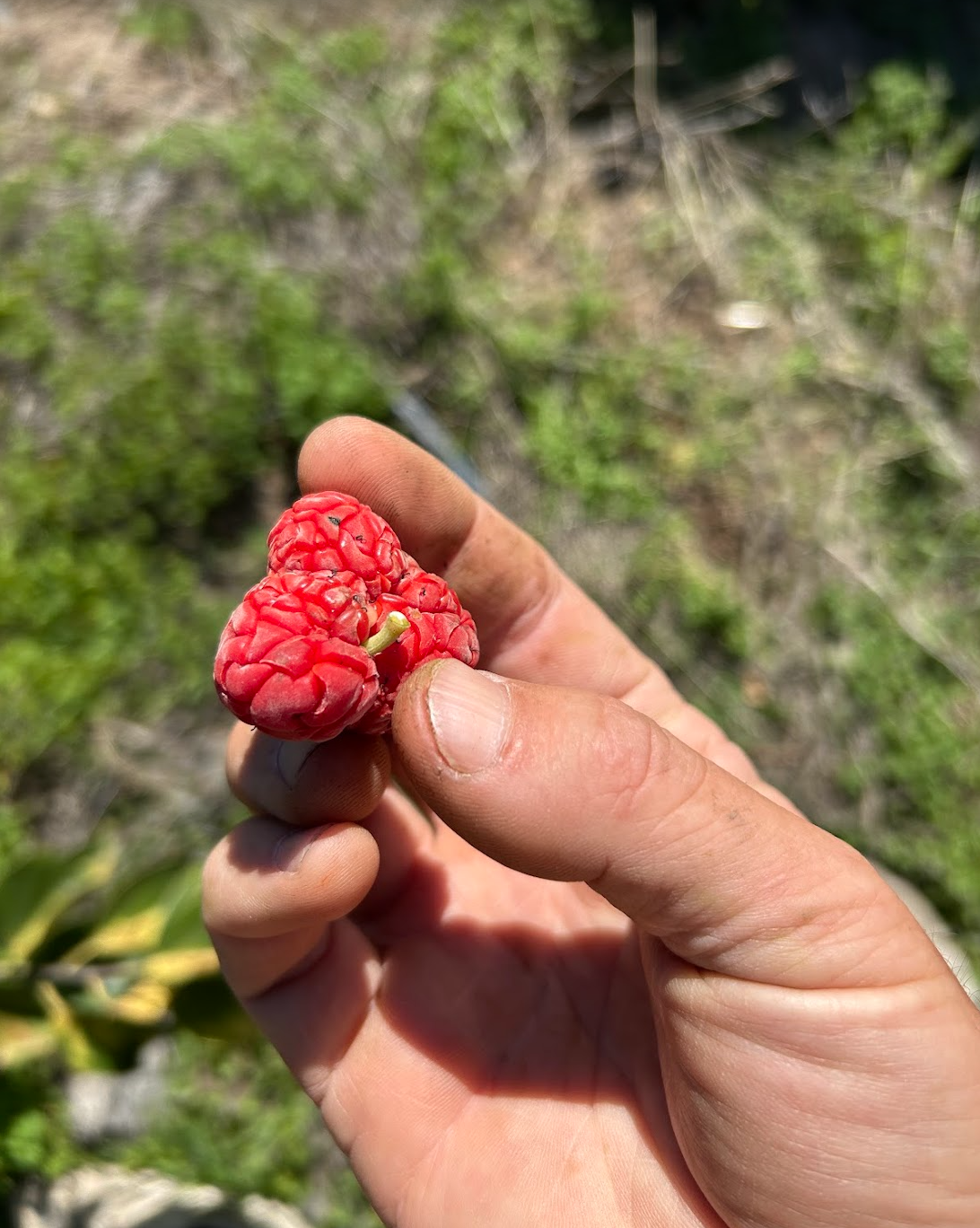 Screen Shot 2026-02-12 at 2.34.48 PM.png