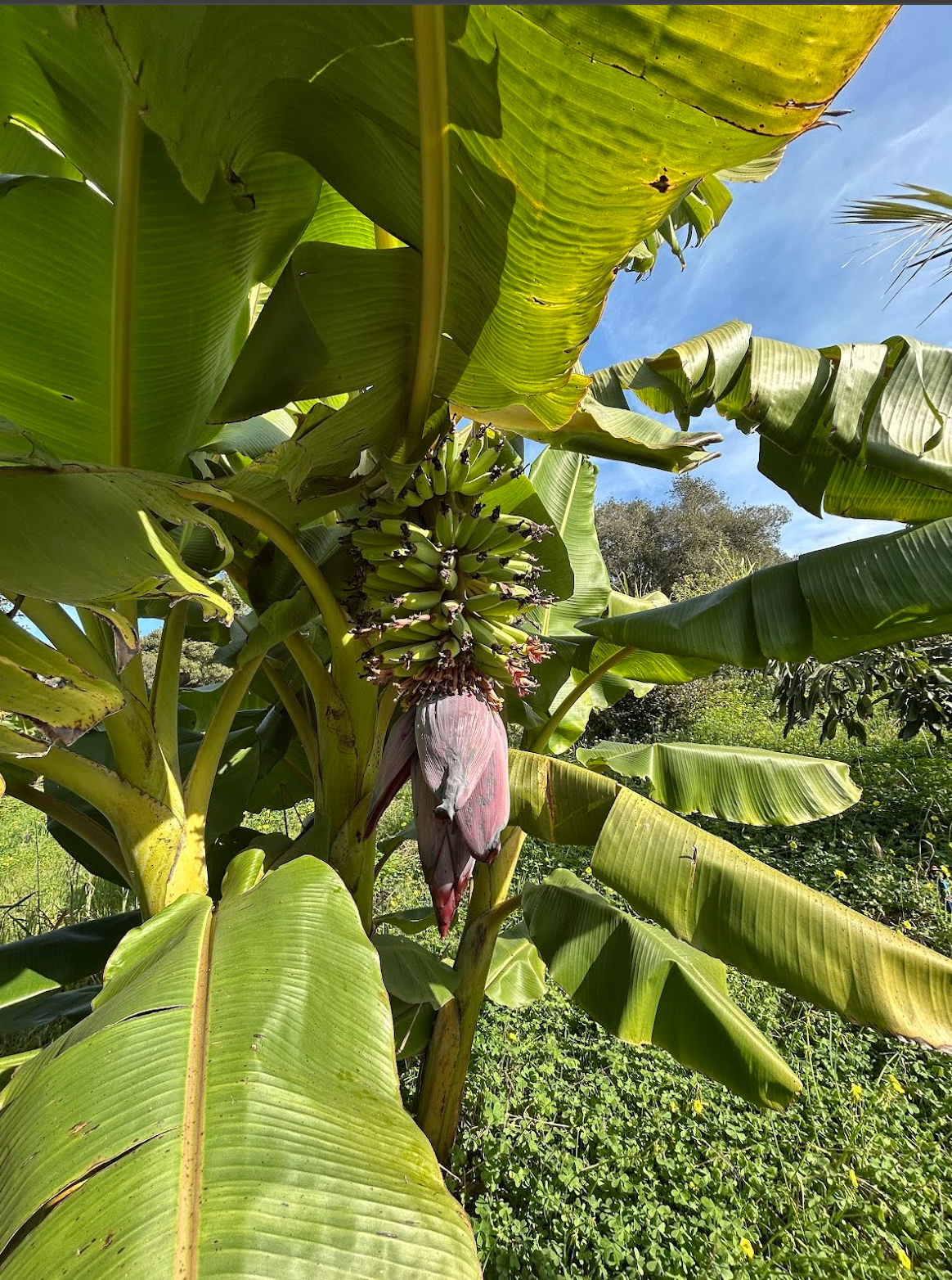 Screen Shot 2026-04-13 at 4.29.34 PM.png