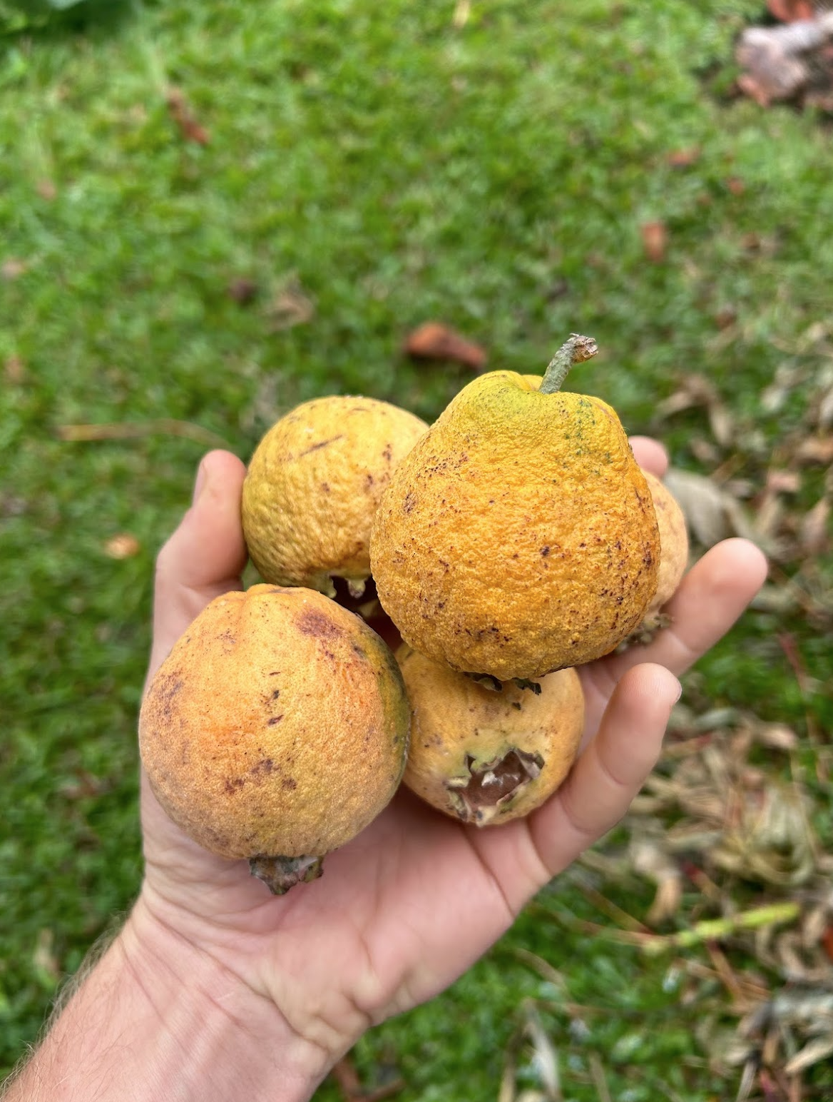 Screen Shot 2024-03-10 at 3.59.19 PM.png