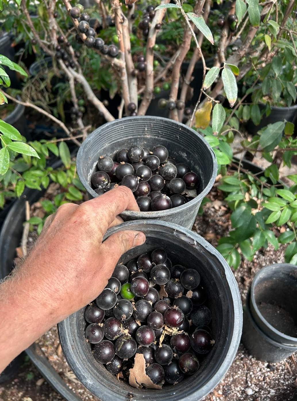 Screen Shot 2026-02-12 at 3.46.53 PM.png