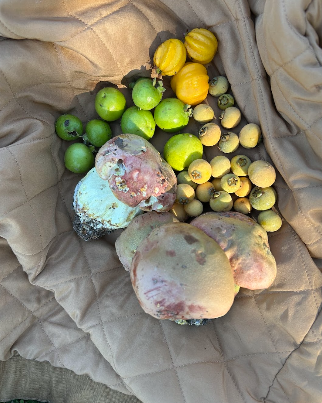 Lime Guava & Lemon Drop