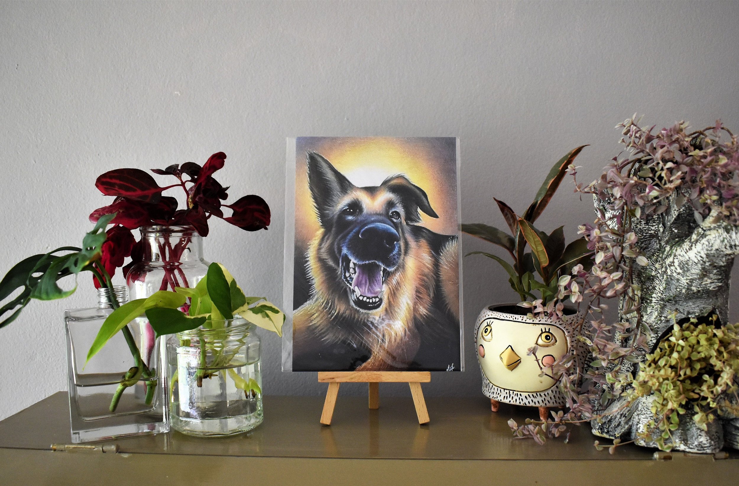 https://i.etsystatic.com/18006887/r/il/5f370c/3173409335/il_fullxfull.3173409335_1wse.jpg