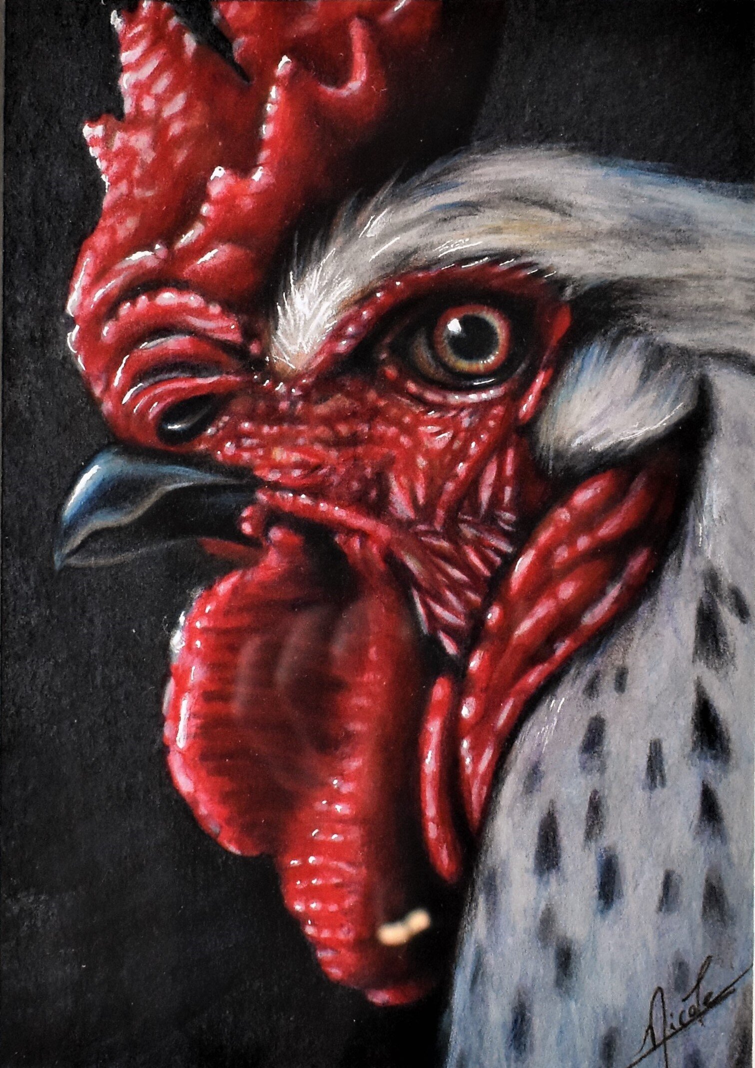 chicken2.jpg