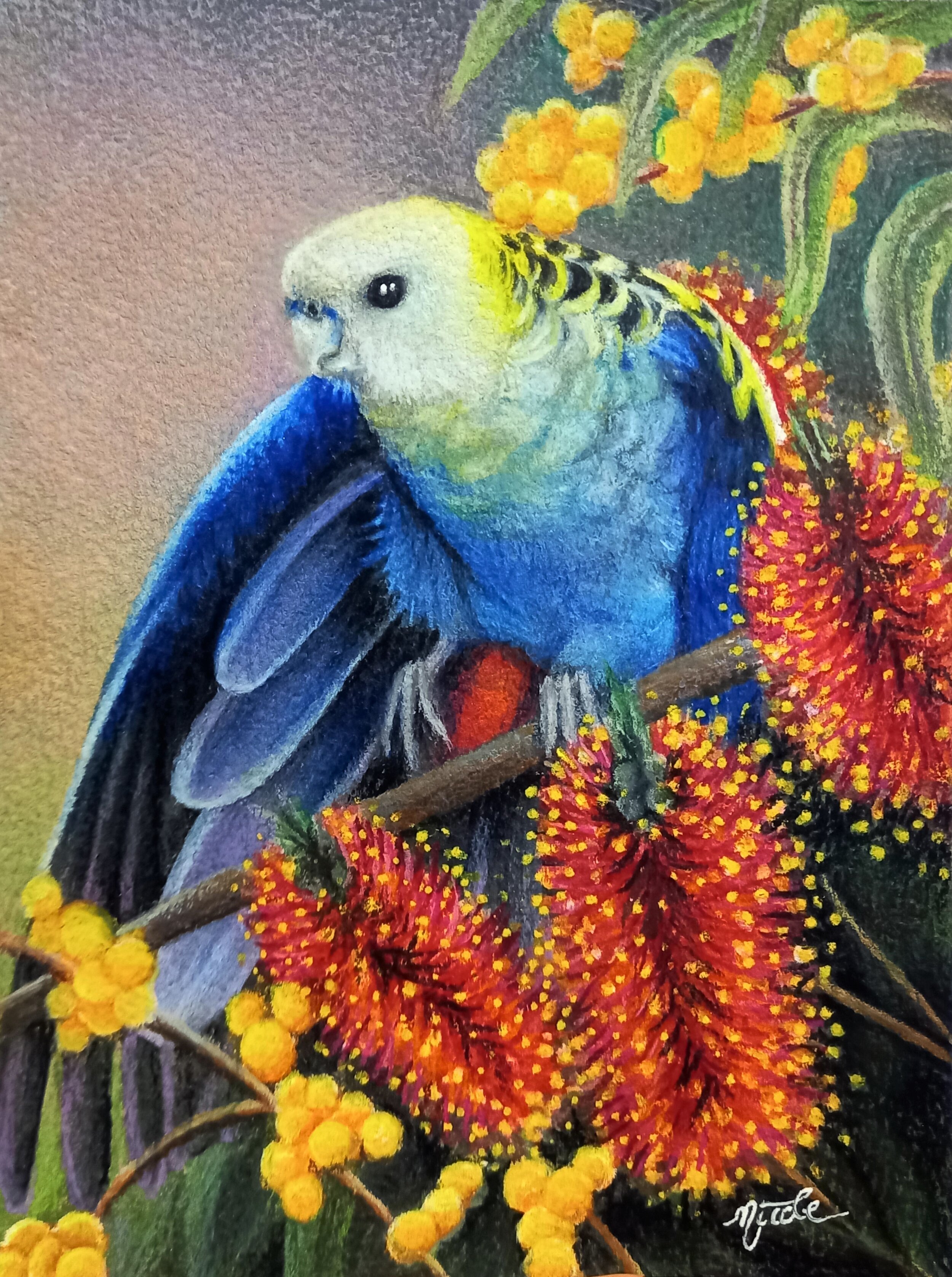 PaleHeadedRosellabyNicoleBrown_PaintedBeak.jpeg