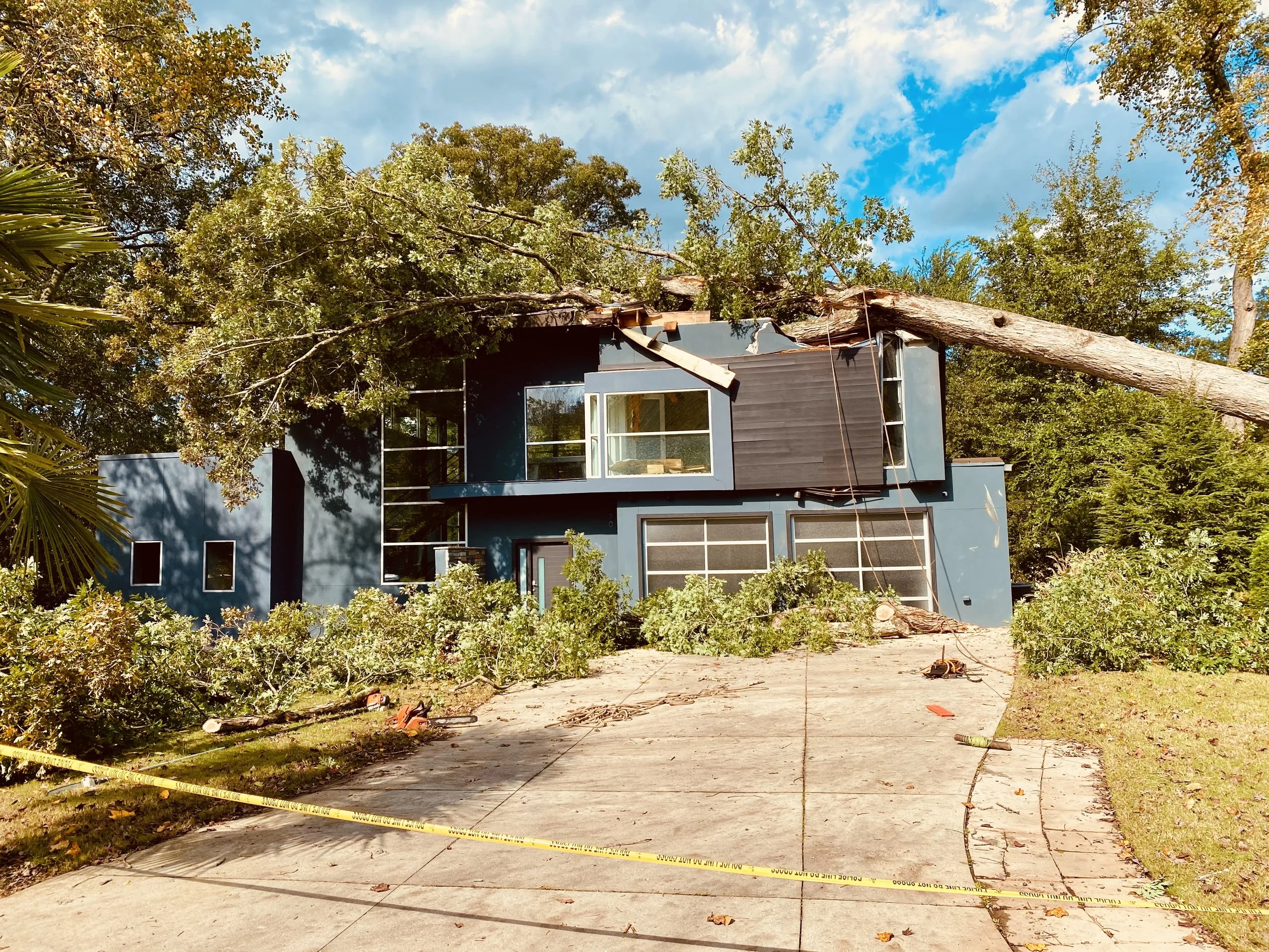 Tree Damage To House