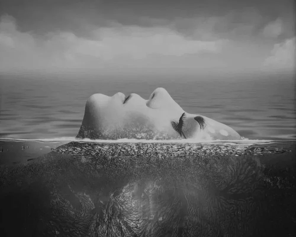 The Art of Transformation