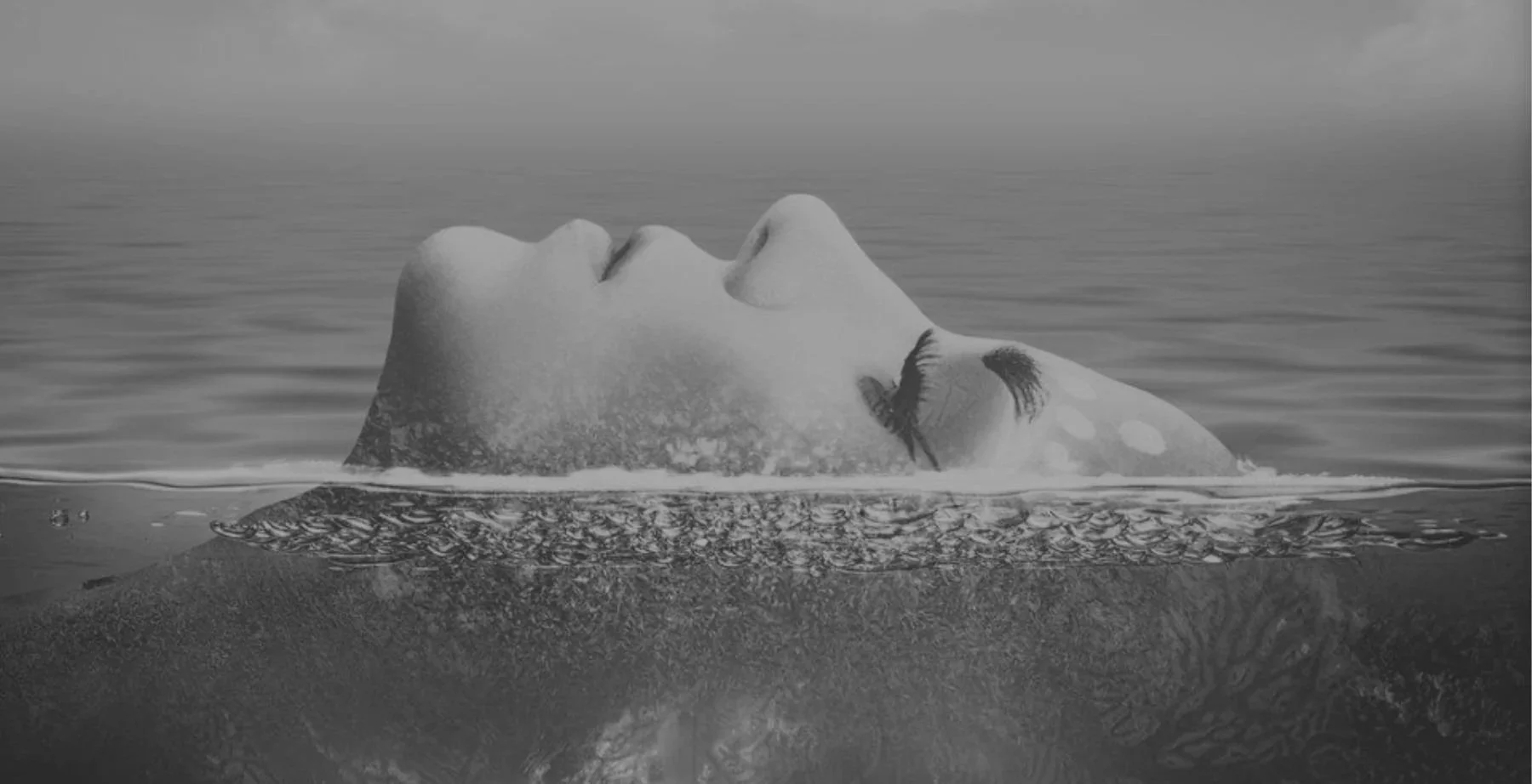 The Art of Transformation Coaching by Laura Boatman