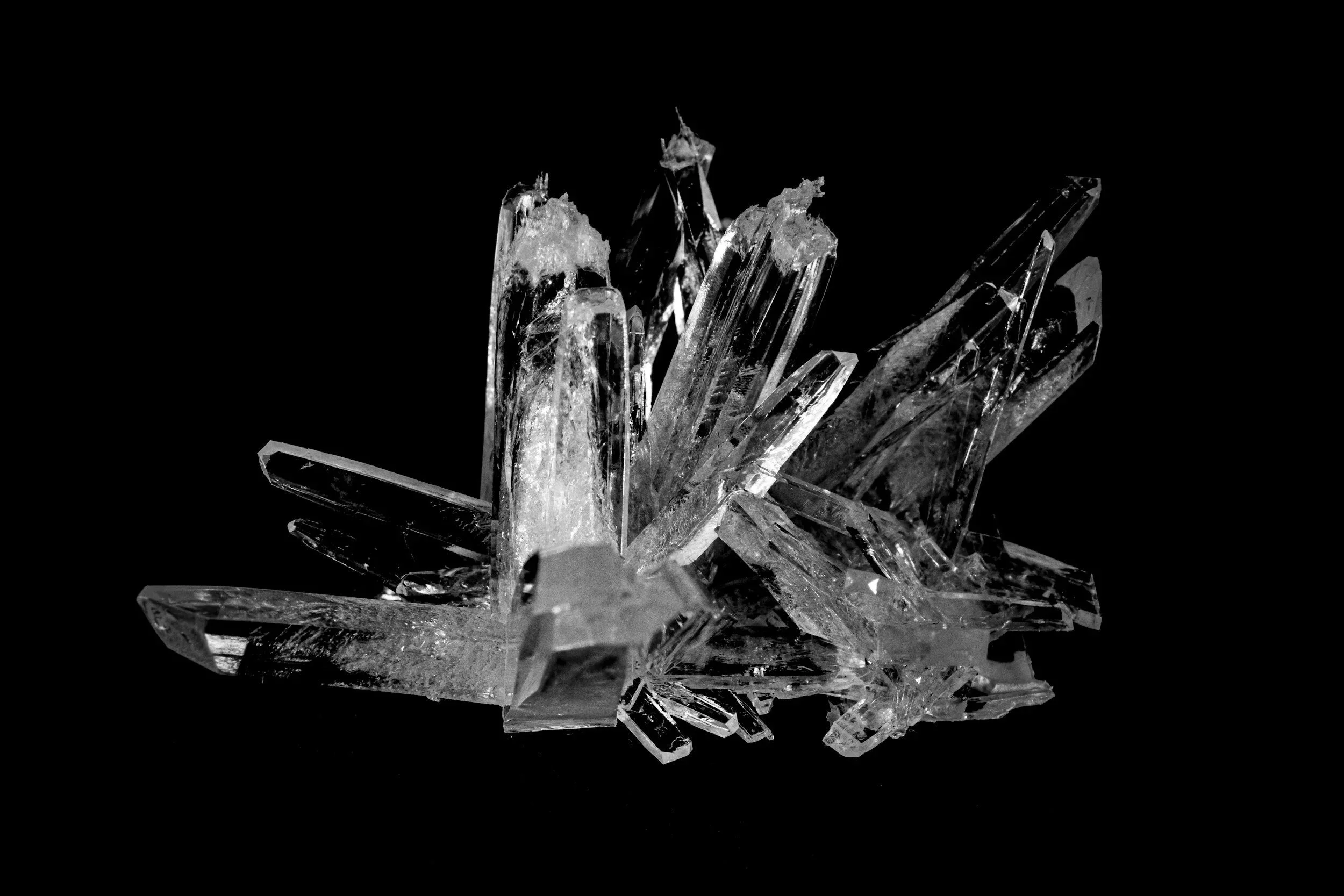 A cluster of clear quartz crystals with tall, sharp points on a black background