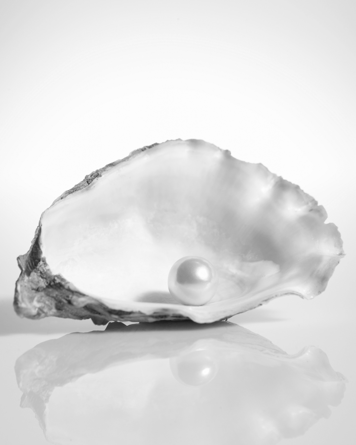 A pearl resting inside an open oyster shell, with a reflection on a smooth surface.