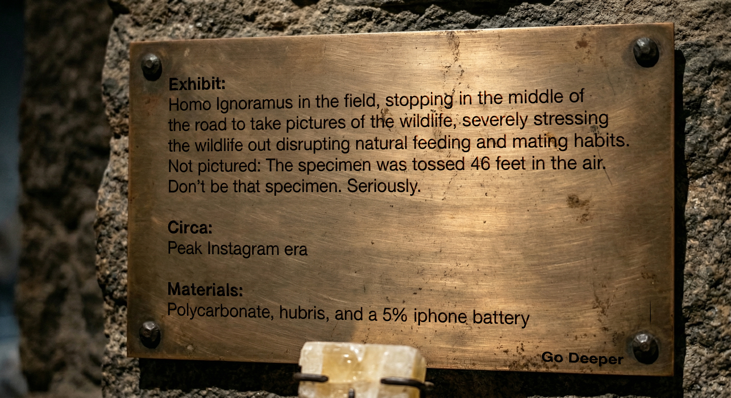 Jackson Hole museum plaque.png