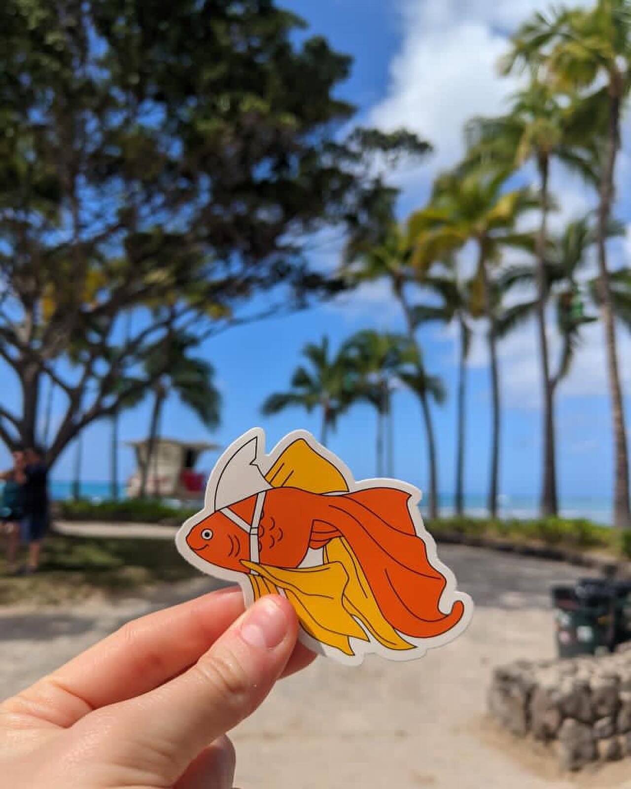 Pets on tour in Hawaii 🌊🏄🐧🌺

Thanks @celineufe for these fab pics 🩷

#stickers #illustrations #smallbusiness #pets #vectorart #hawaii