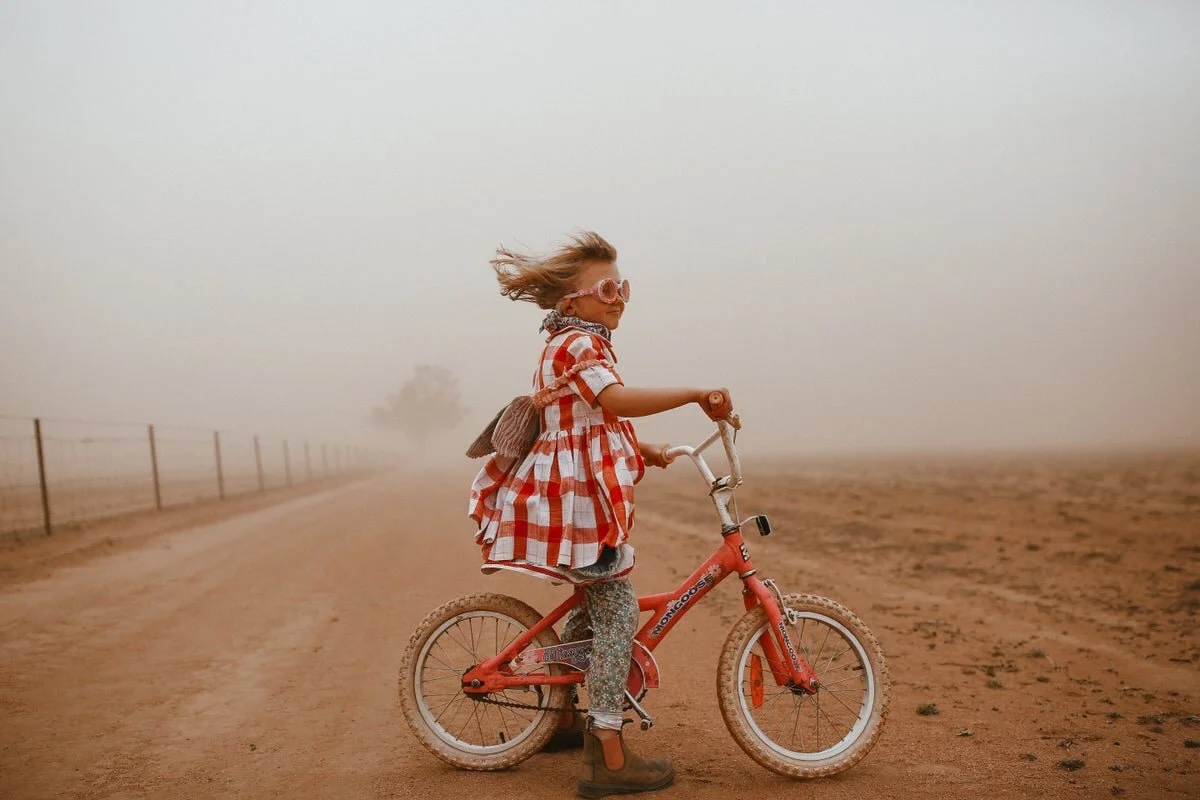 Dust Storm Daisy — Clancy Paine