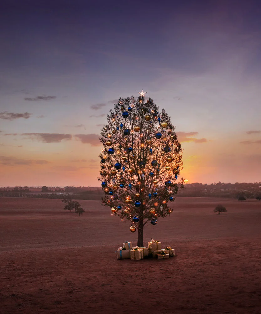 VISA 'Where you Shop Matters'