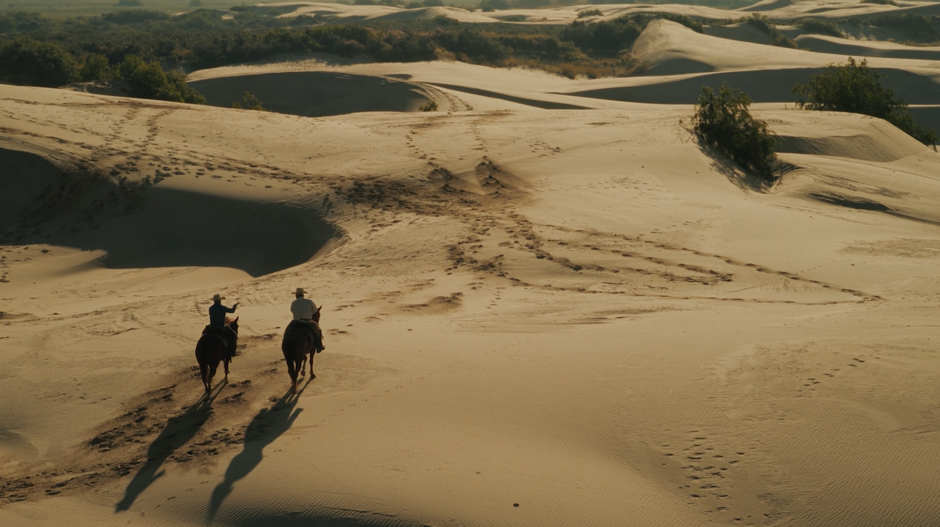 Ford // King Rand - Nick Enriquez