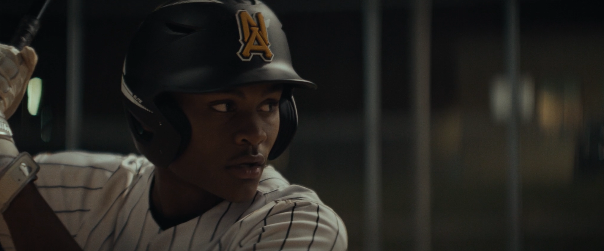 Dicks Sporting Goods - U.S Branding