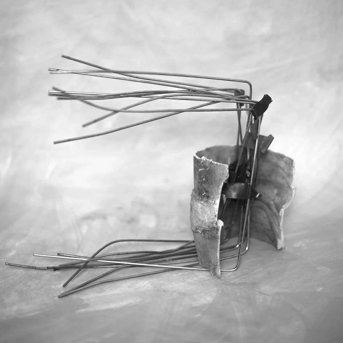 Constructions Techno fossile