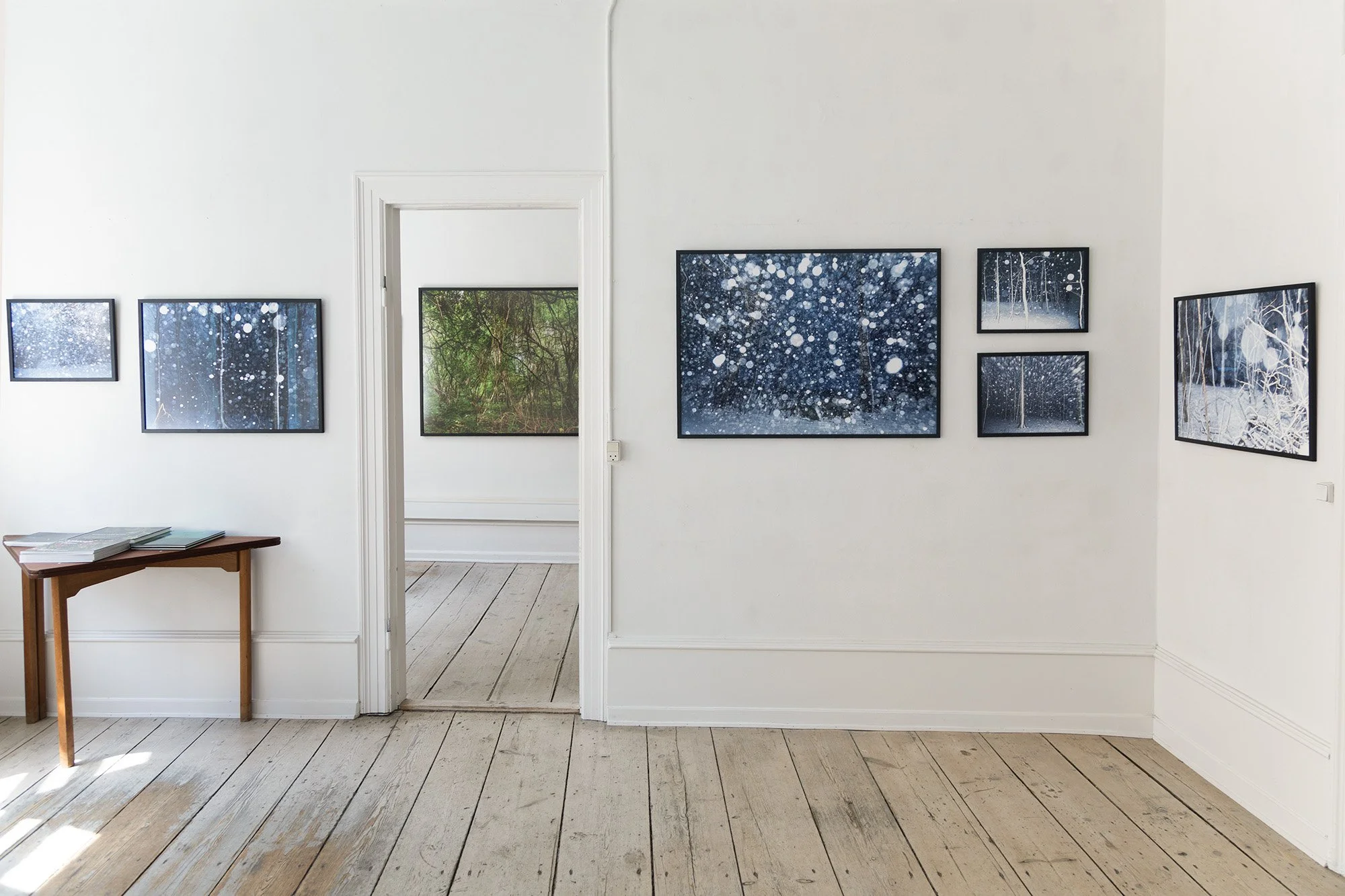 Everything has Beauty - Exhibition views 2025