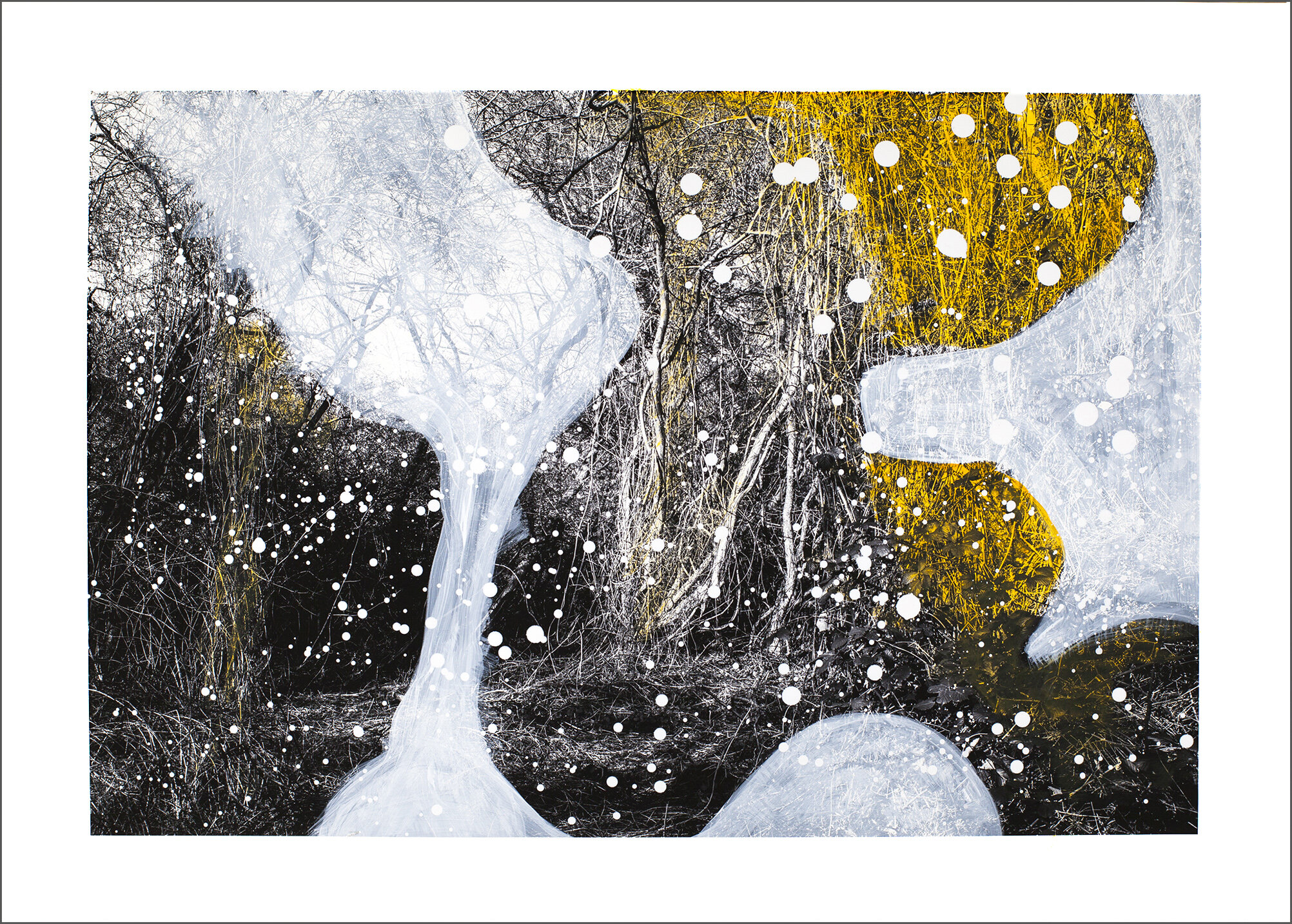 Jungle, Amager Commens, size 50 x 70 cm
