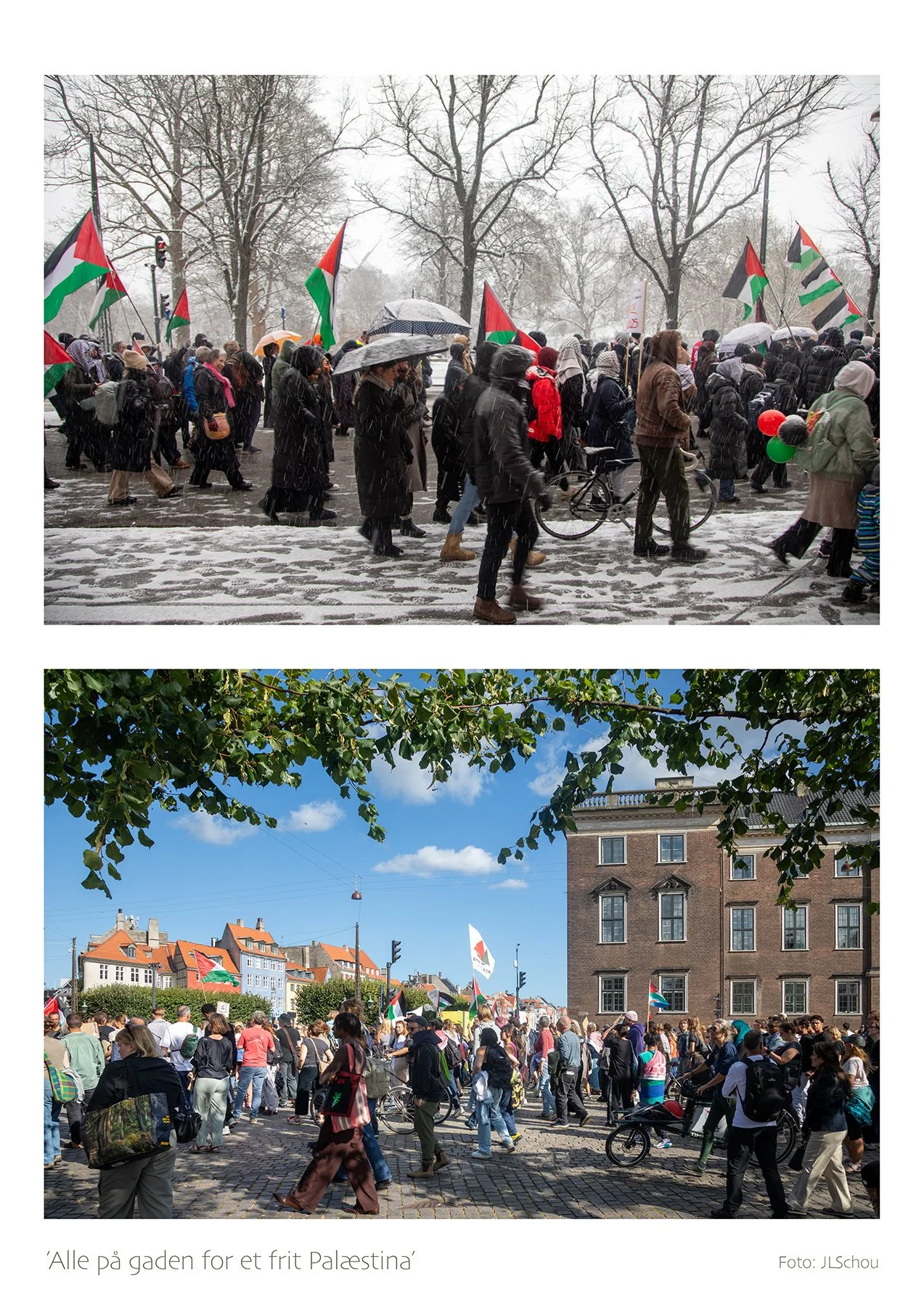 "All in the street - for a free Palestine"