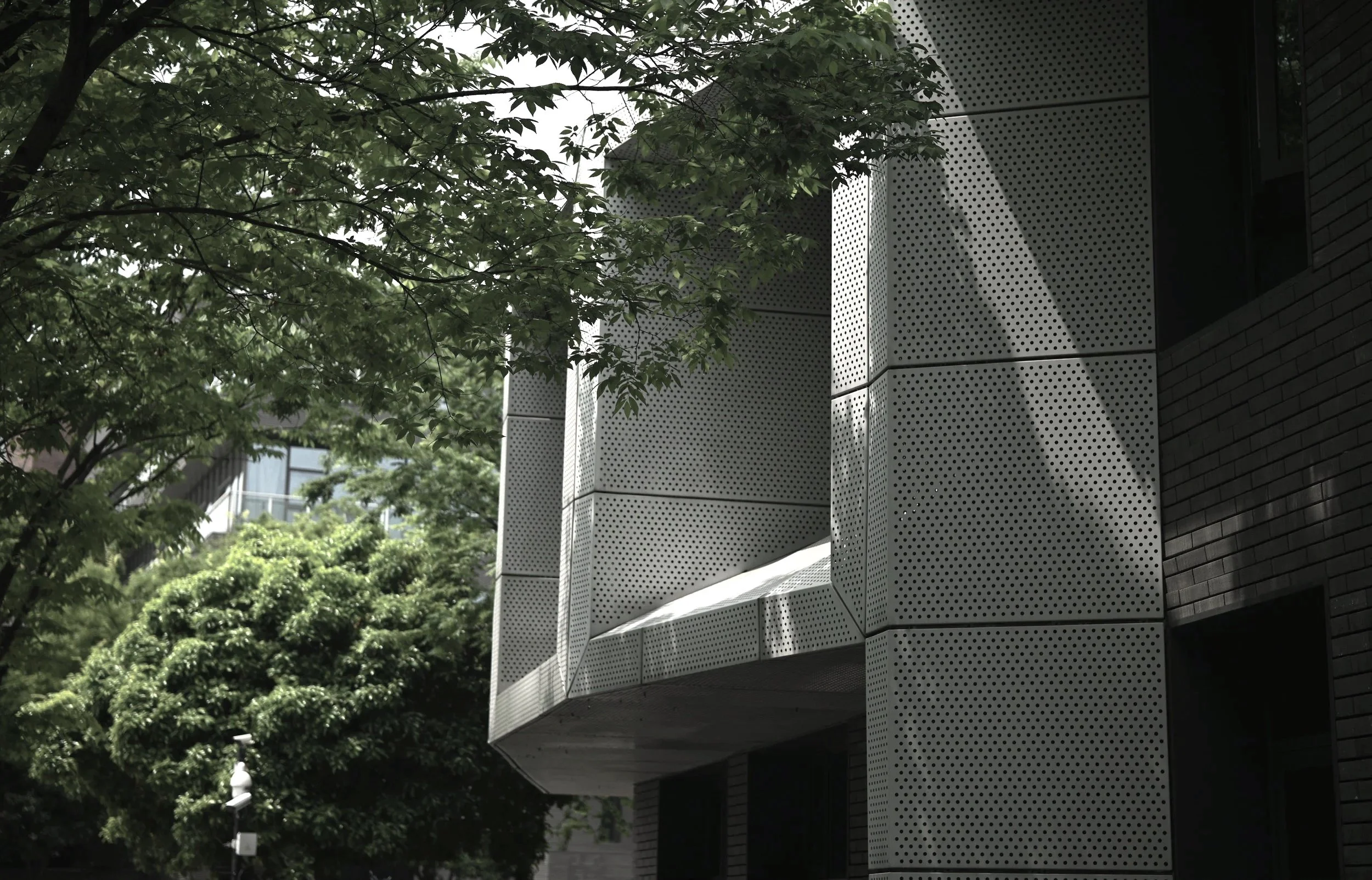 Contemporary building in natural environment symbolizing balance between structure and context in integrative cognitive behavioral therapy (CBT)