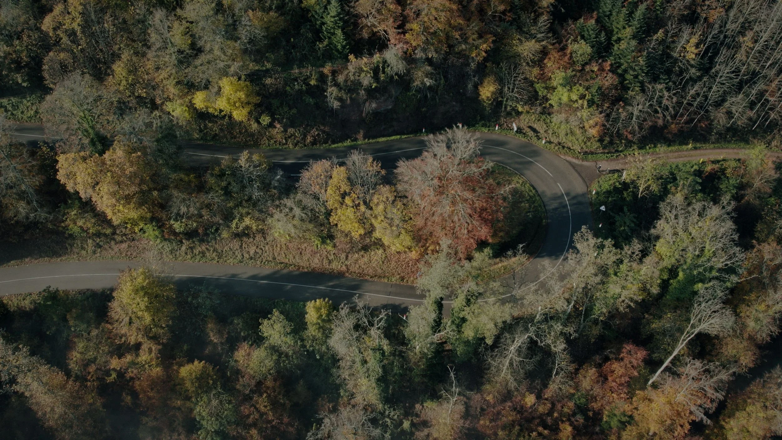 Switchback with subtle path branching off, symbolizing the anxiety paradox and point of intervention.