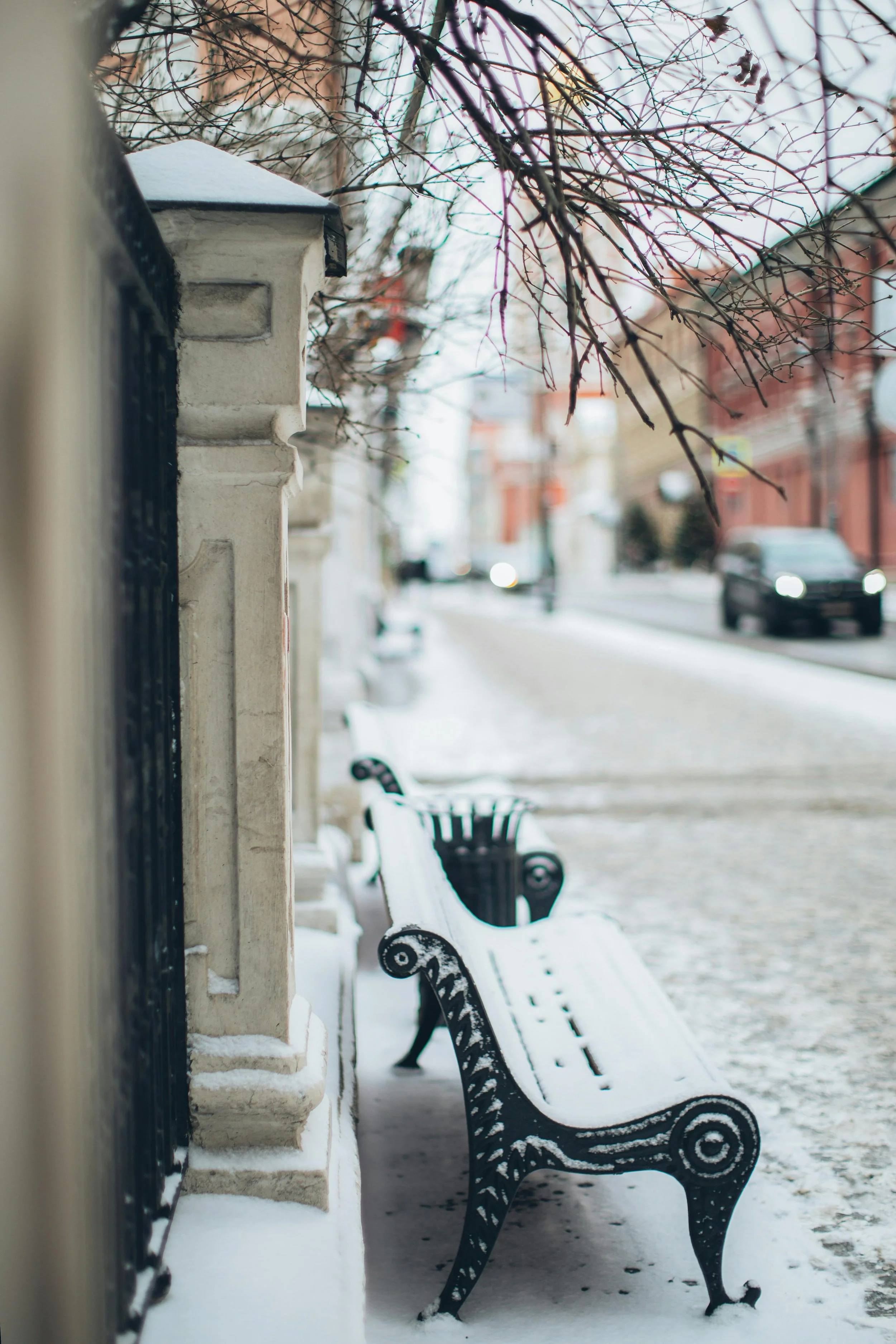 New York park bench covered with snow at street level