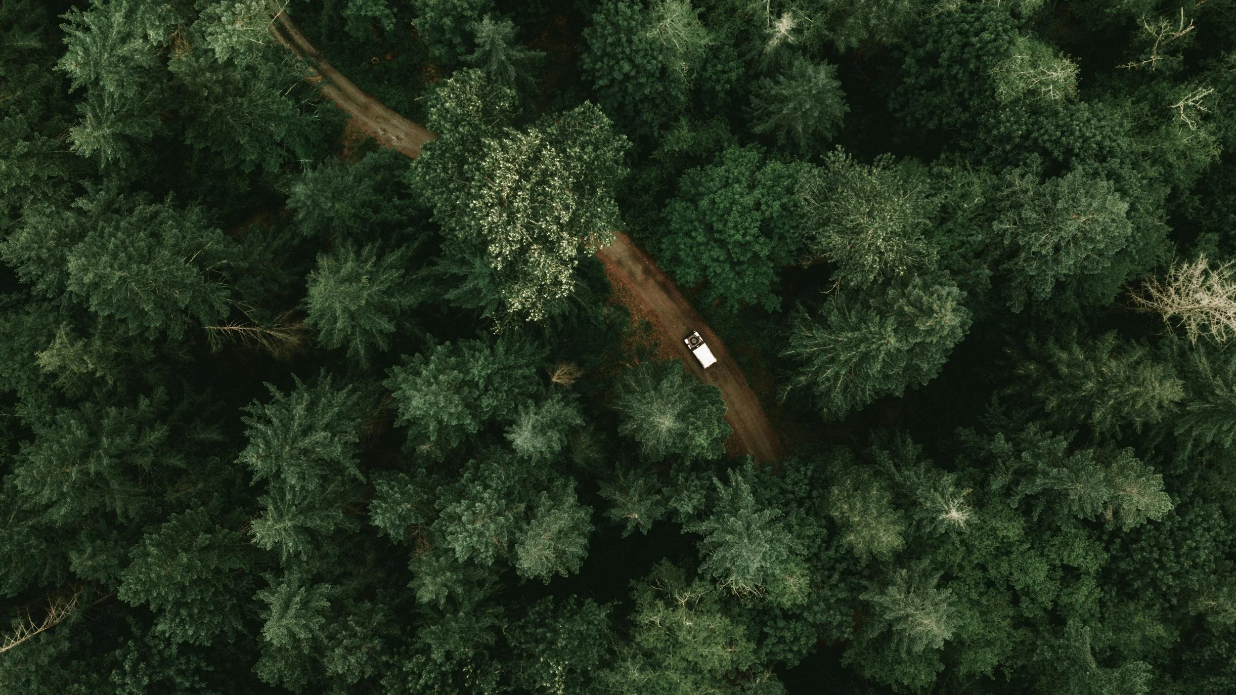 Upstate New York Adirondack forest with aerial view of an individual vehicle on a winding road, symbolizing clarity and direction within an personalized psychotherapy process