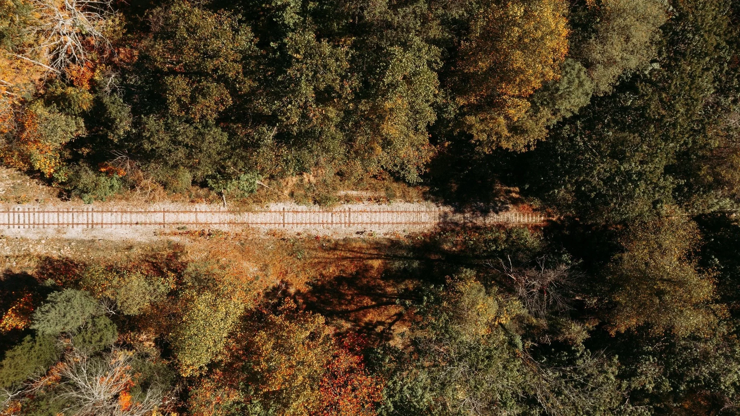 Linear train tracks from overhead entering trees, reflecting uncertainty during life transitions.