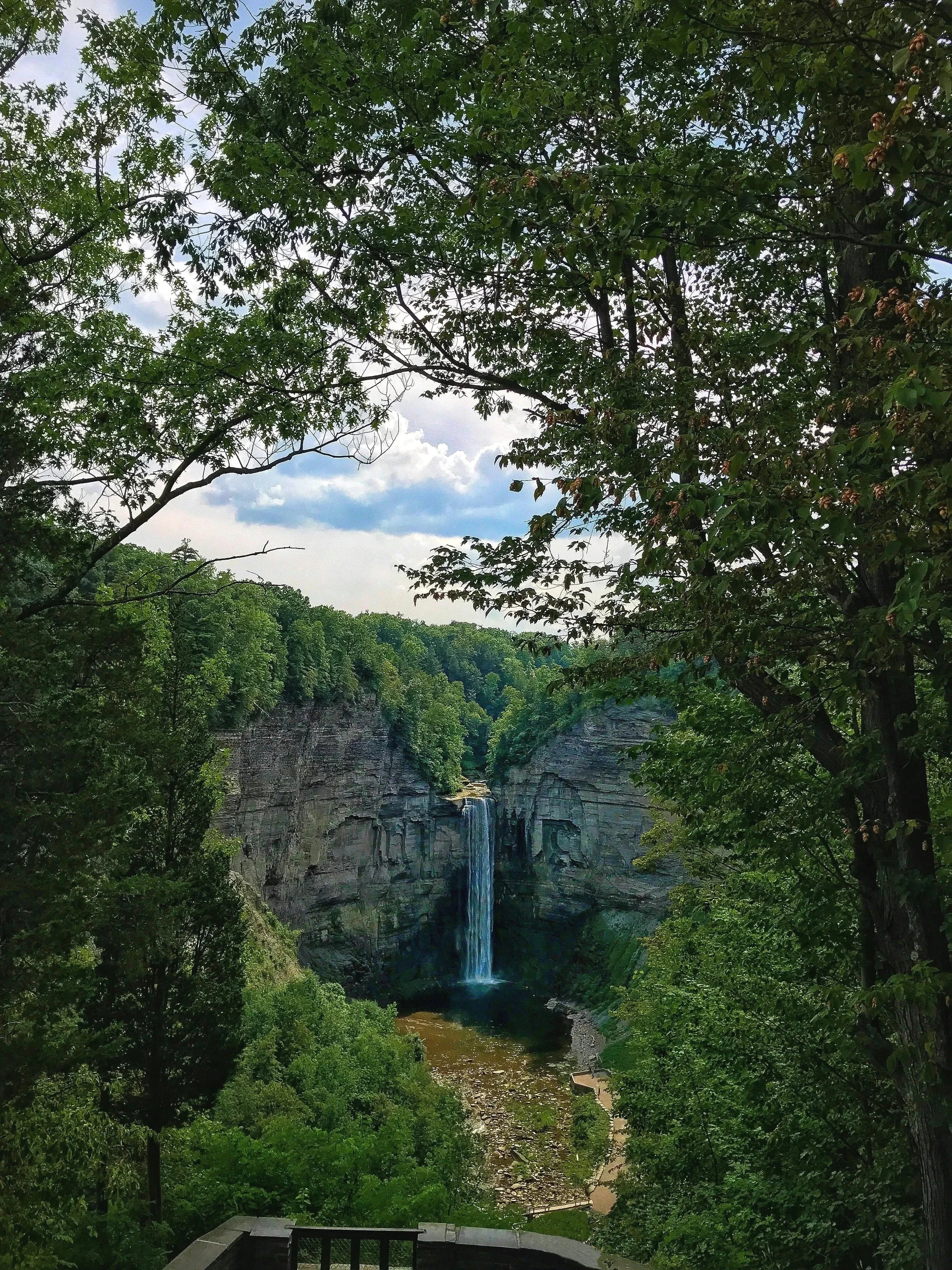 New York waterfall flowing naturally from spacious forest overlook