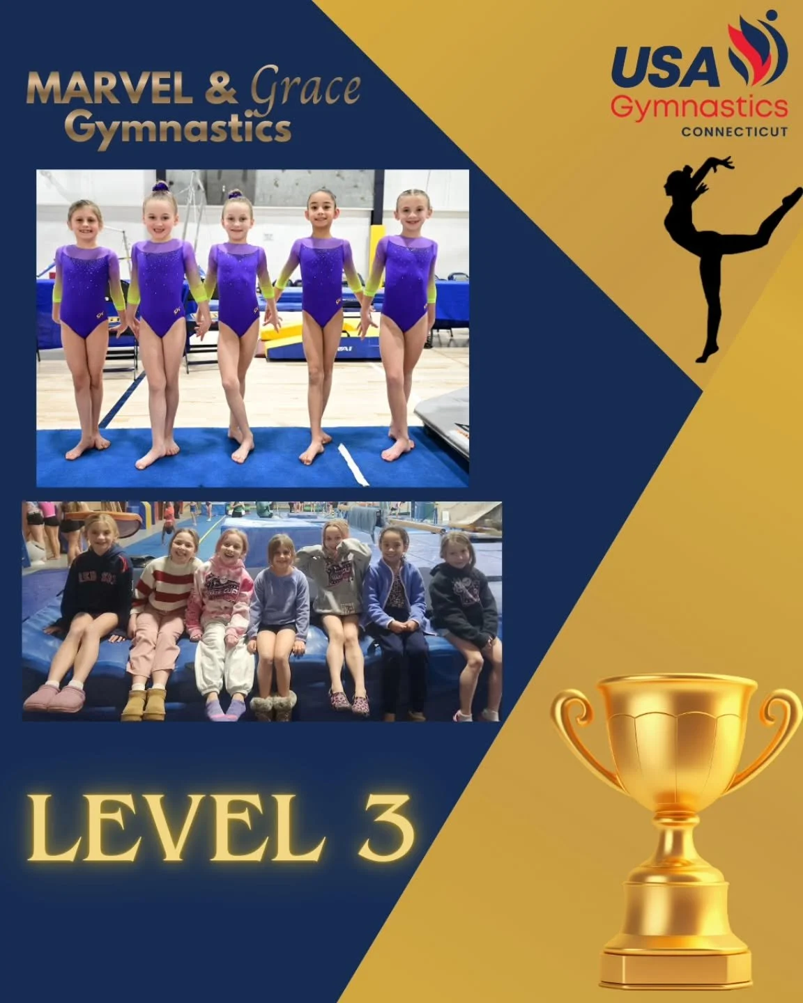 Our Level 3 team wraps up States weekend Sunday afternoon. Good luck girls. We are so proud of everything you have accomplished this season. ⭐🤸&zwj;♀️💙

#MarvelAndGrace #StateMeet #Level3Gymnastics #GymnasticsTeam #FinishStrong

📸: Team Photo (@te