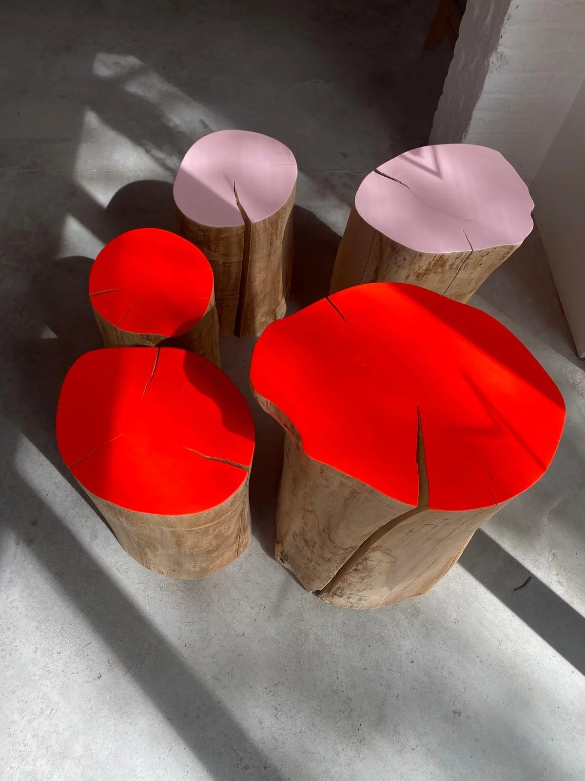 WhatsApp Image 2026-.jpeg