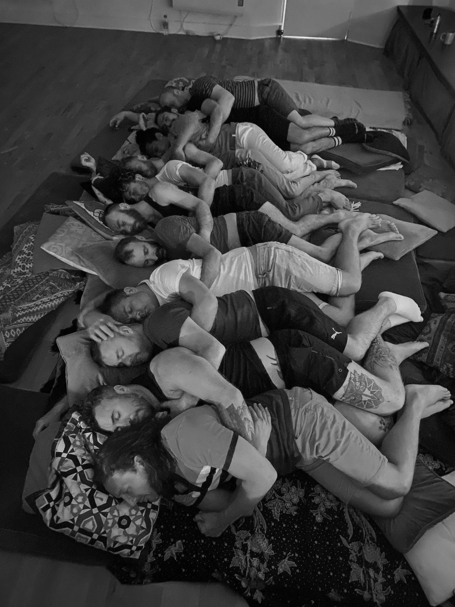 GROUPCUDDLEPILESOMAHOLISTIX.jpg