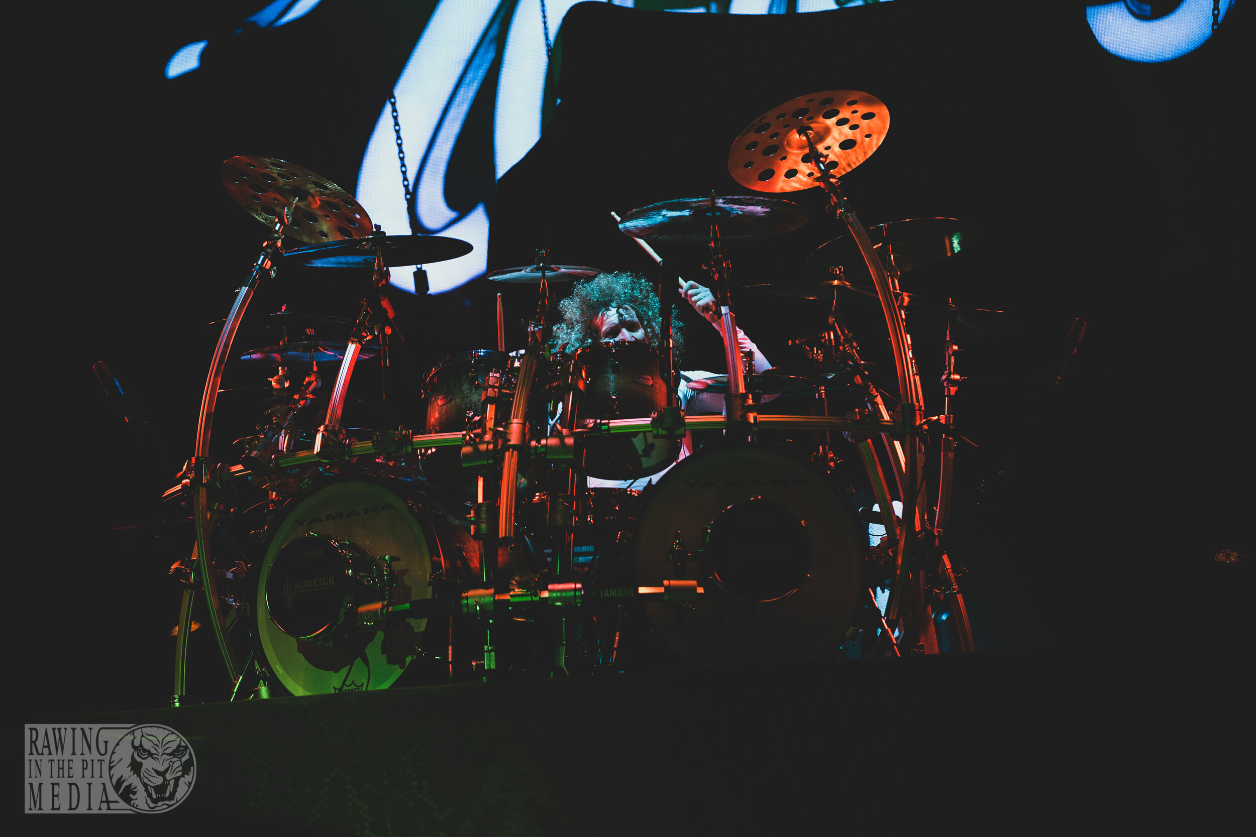 Whitesnake (36 of 92).jpg