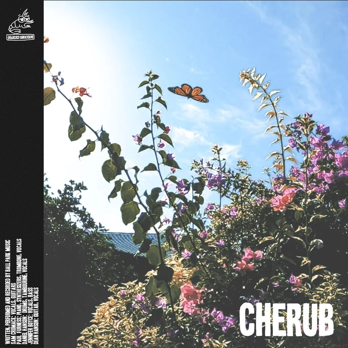 Ball Park Music – Cherub - Song Review