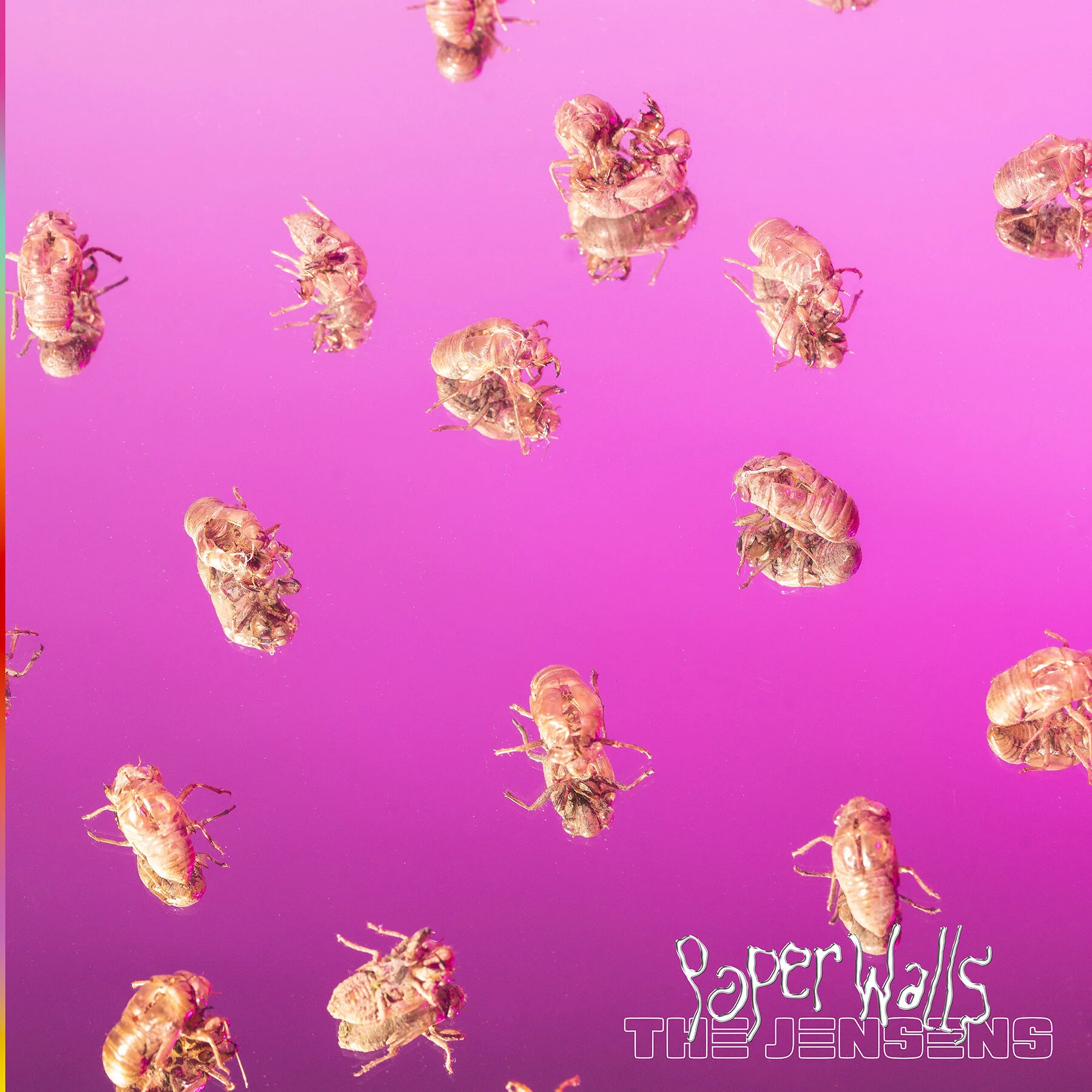 THE JENSENS ANNOUNCE SINGLE &amp; VIDEO ‘PAPER WALLS’ OUT OCTOBER 6TH