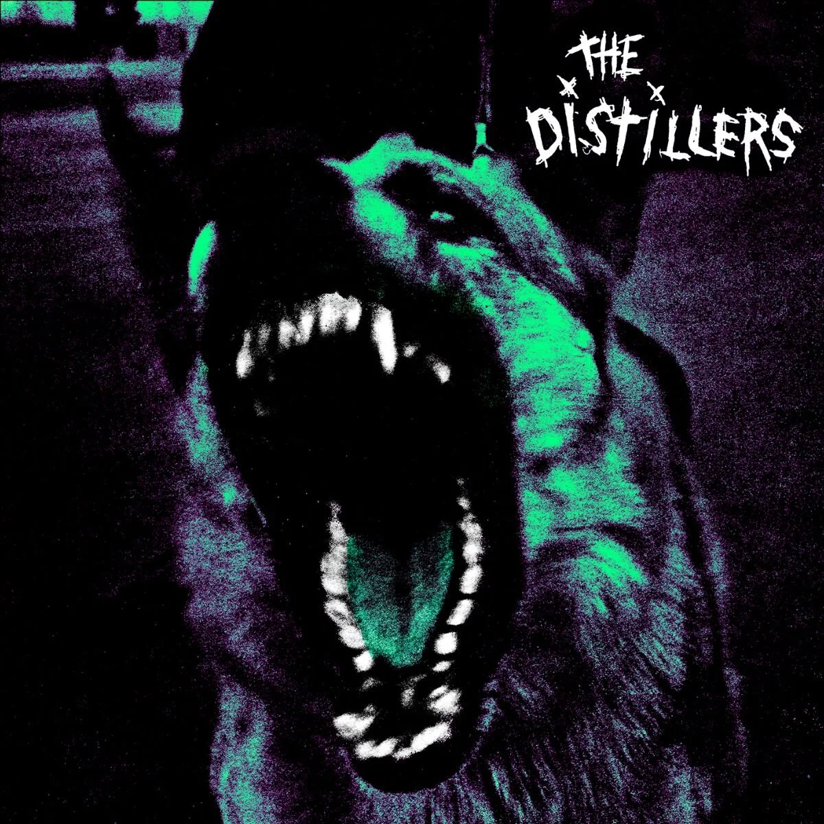 THE DISTILLERS ANNOUNCE 20th ANNIVERSARY REISSUE!!!