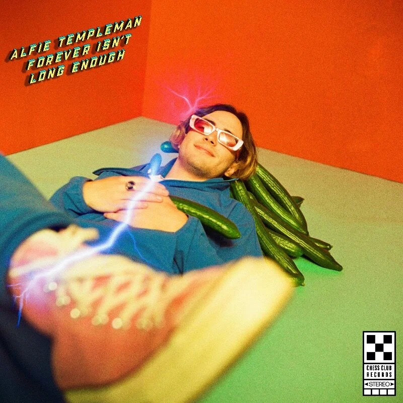 ALFIE TEMPLEMAN 2.jpg